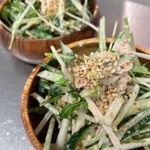 水菜ときゅうりのシーチキンドレッシングサラダ